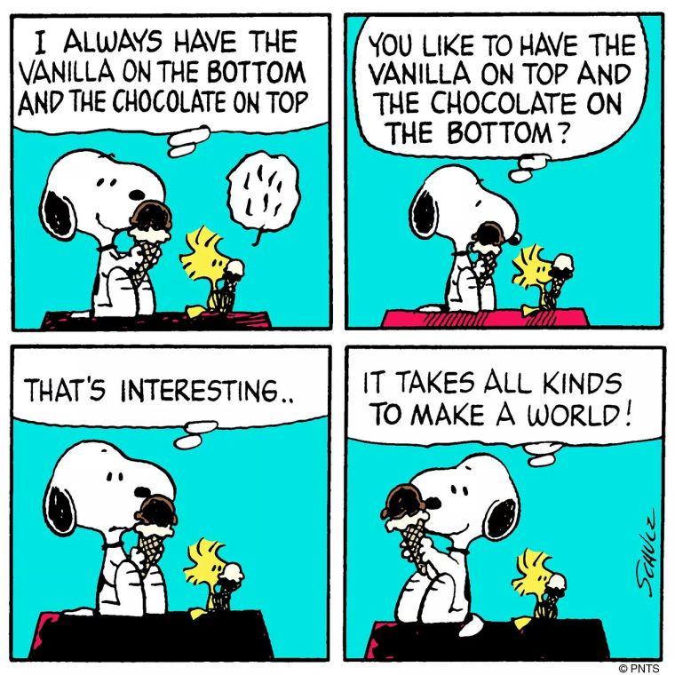 Snoopy Vanilla Comic